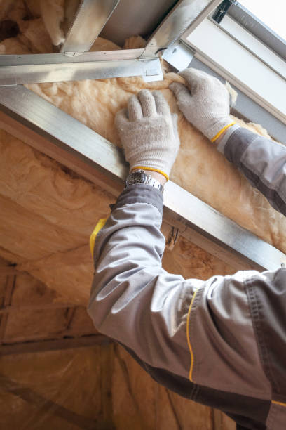 Best Local Insulation Services  in Midway, KY