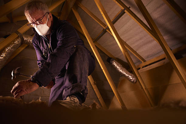 Best Insulation Contractor Near Me  in Midway, KY